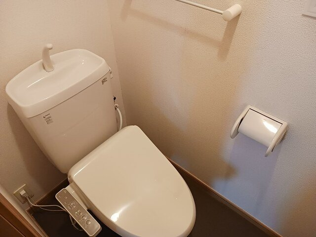 レーベンツォーネⅢのトイレ