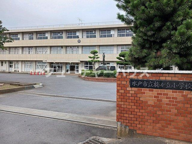 ウエストヒルズパーク　１の周辺|水戸市立梅が丘小学校まで939m
