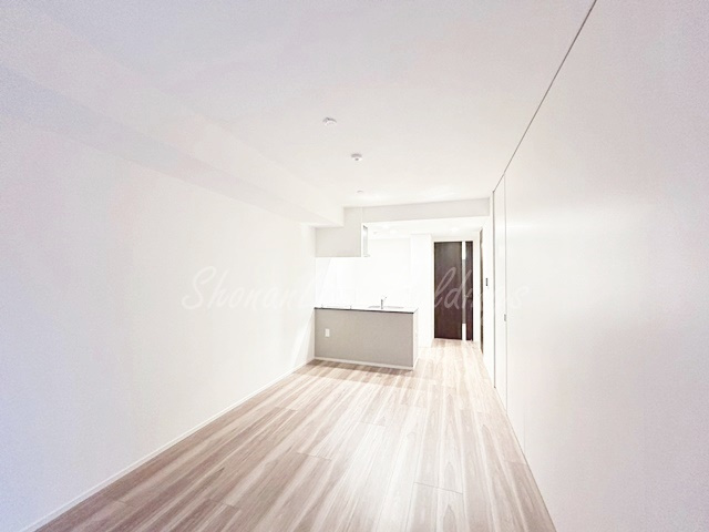 藤沢市藤沢１丁目の賃貸マンションの居間・リビング