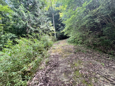  | 丹波篠山市下小野原　土地