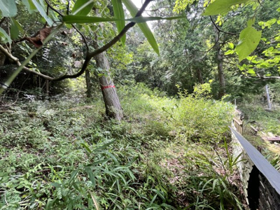 【外観】 | 丹波篠山市下小野原　土地