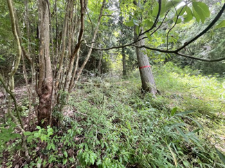 【外観】 | 丹波篠山市下小野原　土地