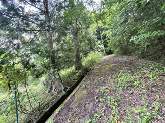 【外観】 | 丹波篠山市下小野原　土地