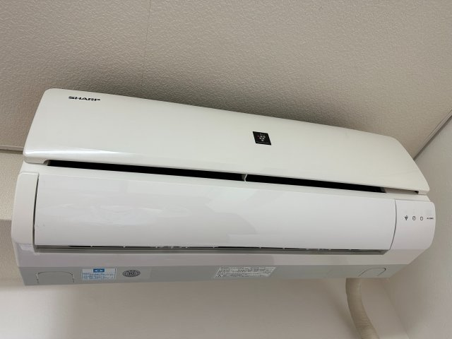 カサプラタのその他