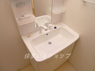 グリーンワールド　Ⅲの洗面所|シャンプードレッサー