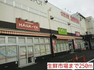 アネックスＴＳＵＫＩＭＩＮＯの周辺|生鮮市場まで250m