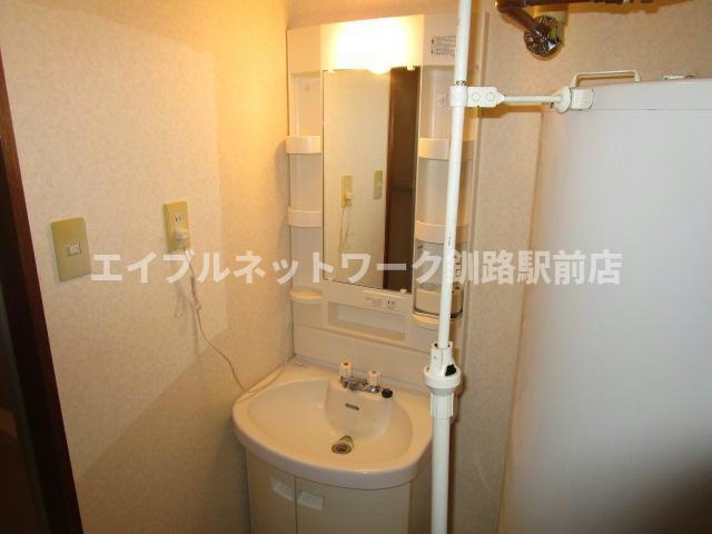 アビタシオンリビエールの洗面所