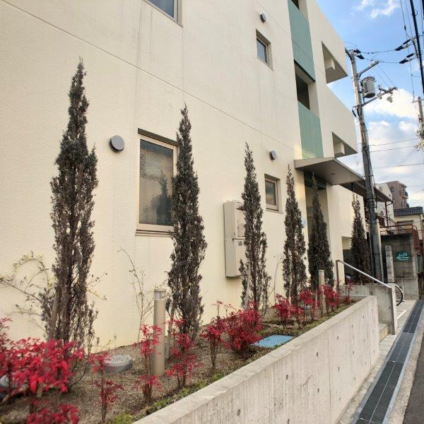 SK甲子園のその他
