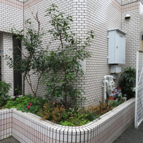 ダンディライオン西宮の設備