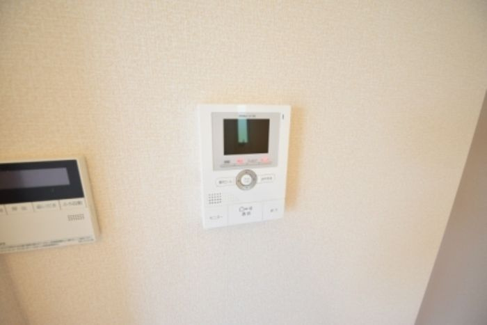 カーネリアンのセキュリティ