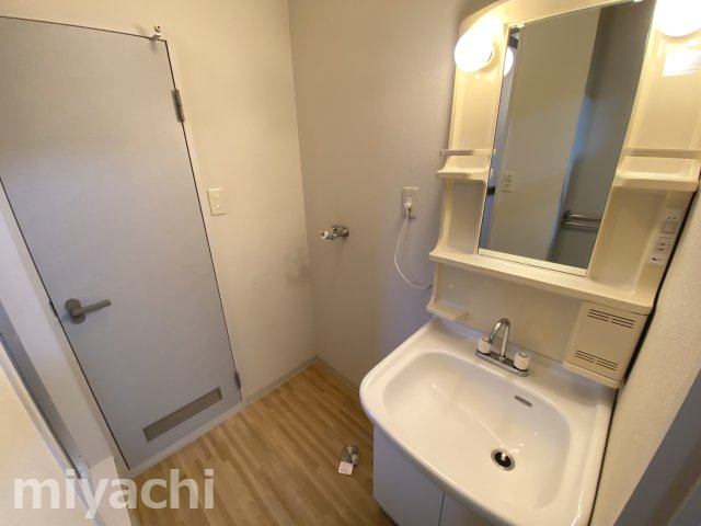 ディアス住吉の洗面所