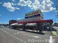 グランディール太田Ａの周辺|新鮮市場太田本店さんまで600m