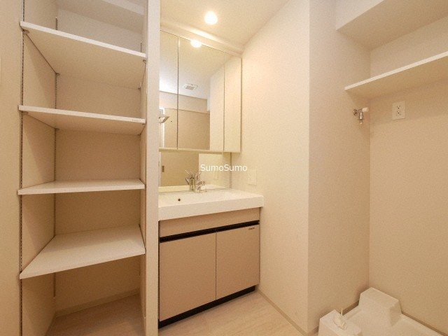 大阪市西区新町４丁目の賃貸マンションの洗面所
