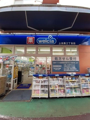 カルム中目黒の周辺|welcia 上目黒2丁目店まで290m