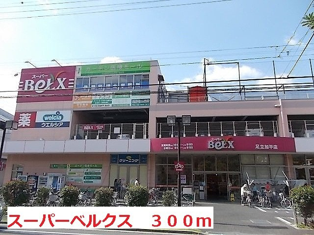 パリス・デイジーの周辺|スーパーベルクスまで300m