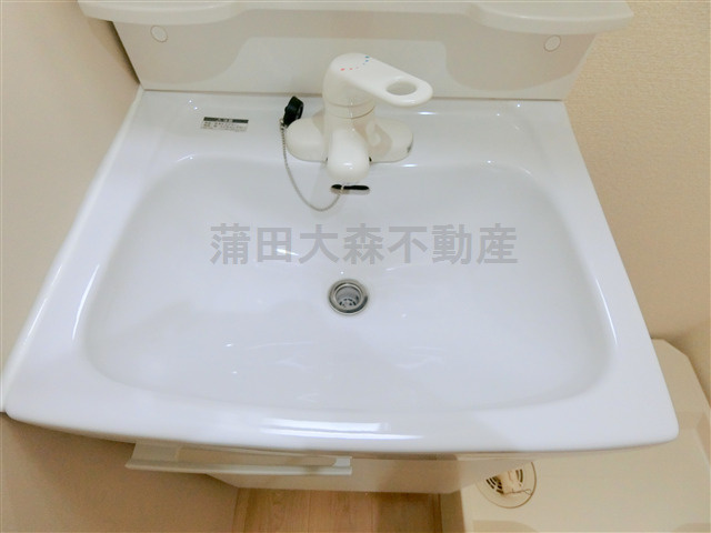 グラシア蒲田本町の洗面所
