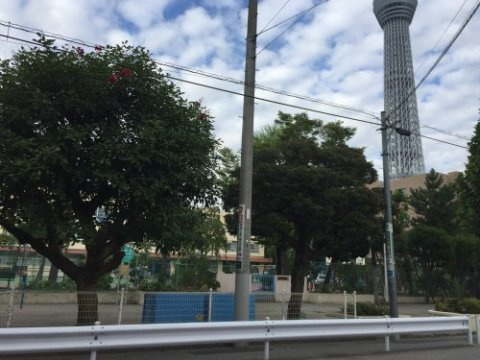 グランビューオシアゲの周辺