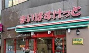 ゼルコバ・グローブのその他