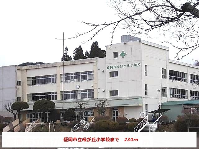 グレースアゼリアＢの周辺|盛岡市立緑が丘小学校まで230m