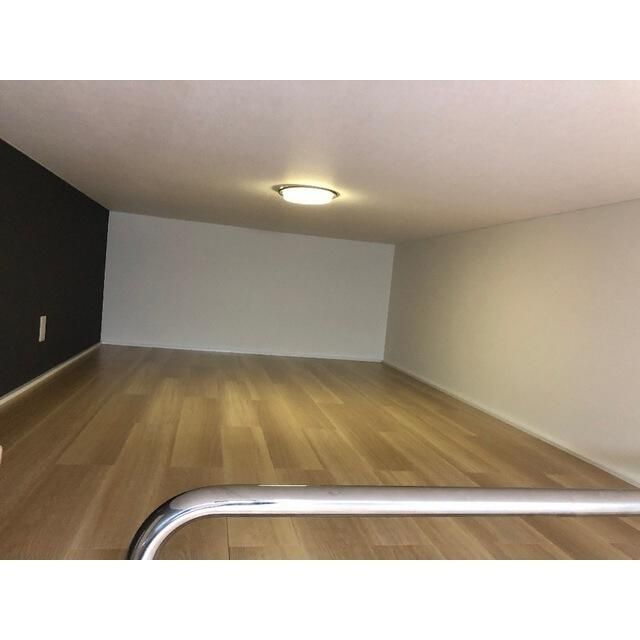 アイリスのその他