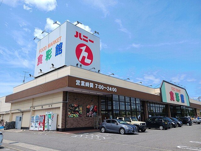 サンリット　ヒル　Ⅱの周辺|ハニー三国店まで893m