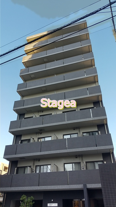 コライユ常盤