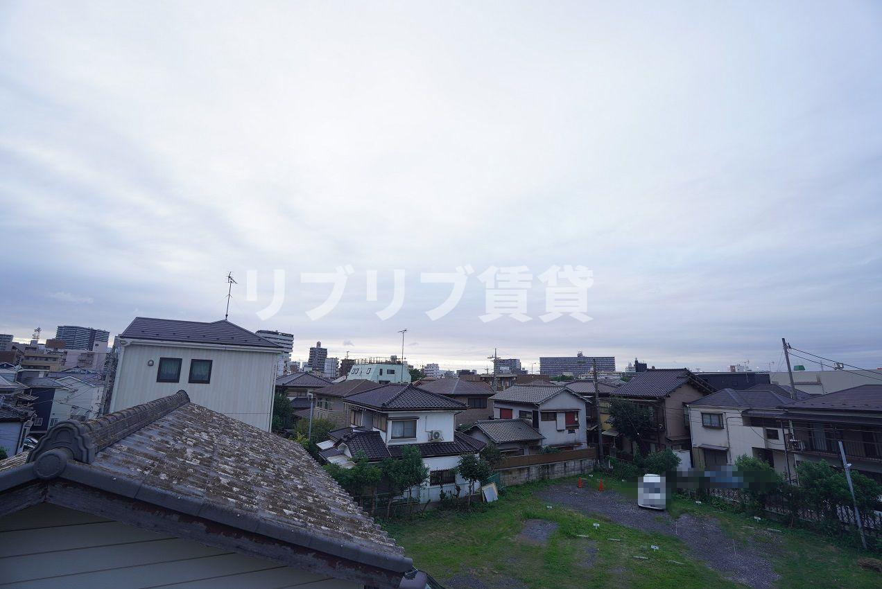 DAHLIA CHIBAの展望