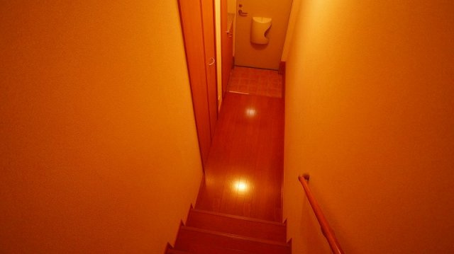 明るい玄関です