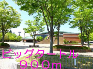 ビッグタートルまで900m