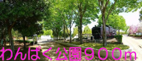 わんぱく公園まで900m