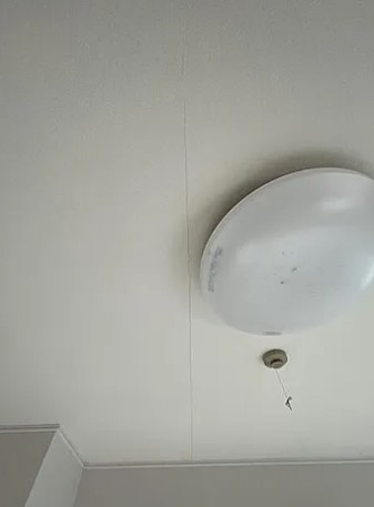【その他】