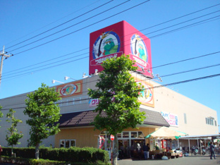 TAIRAYA武蔵村山店まで736ｍ