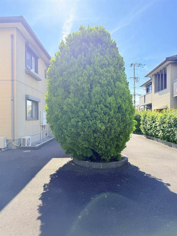 バリュージュヤシマ C棟のその他