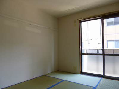 パティオ 6のその他