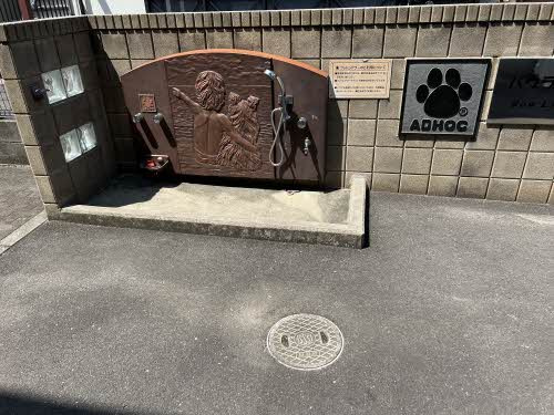 バウライフのその他