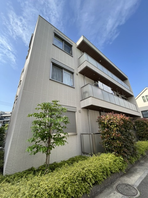 ＭＡＧＮＯＬＩＡ　ＭＥＧＵＲＯ