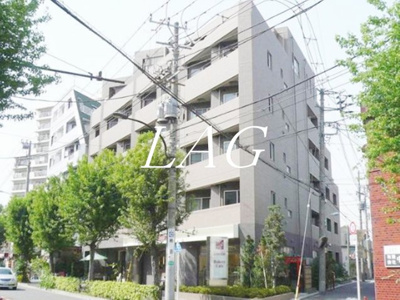 【外観】 | エルカスティージョ　ムサシ | 外観です。