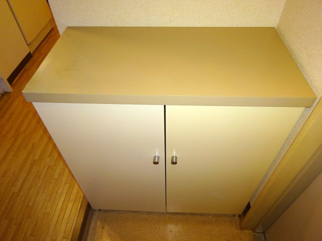 ブオナスタンザ新検見川の玄関|シューズボックス
