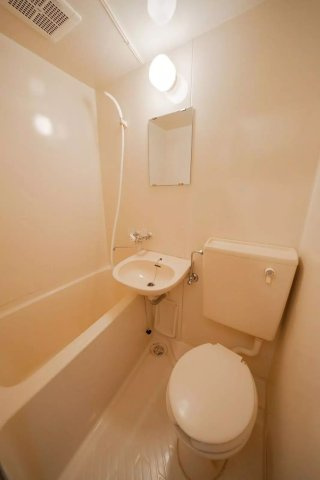 AP228 ライフピアストーン 102のトイレ|トイレです