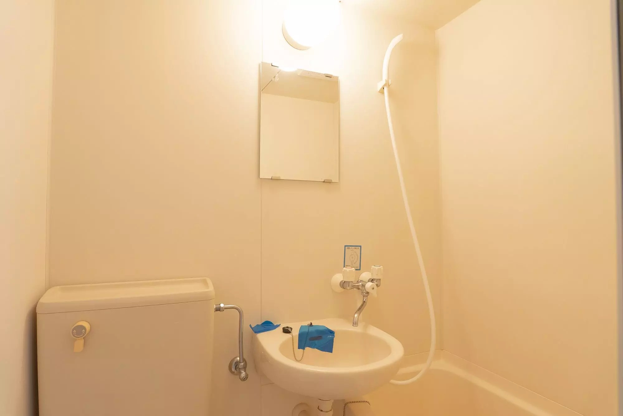 AP1538 ロイヤルパレス亀有 404のトイレ|落ち着いたトイレです