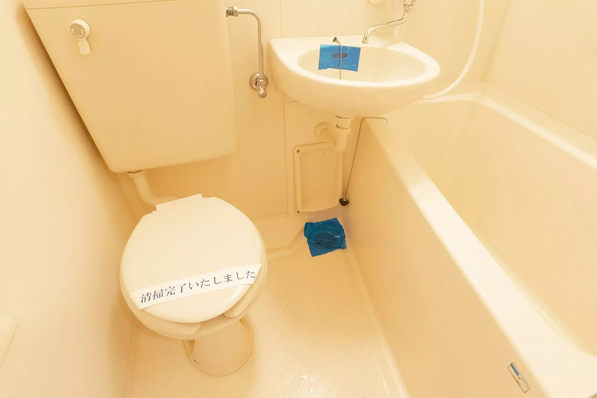 AP1537 ロイヤルパレス亀有のトイレ|落ち着いたトイレです