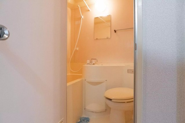 AP1443 プラザドゥガロンヌD棟のトイレ|トイレも気になるポイント