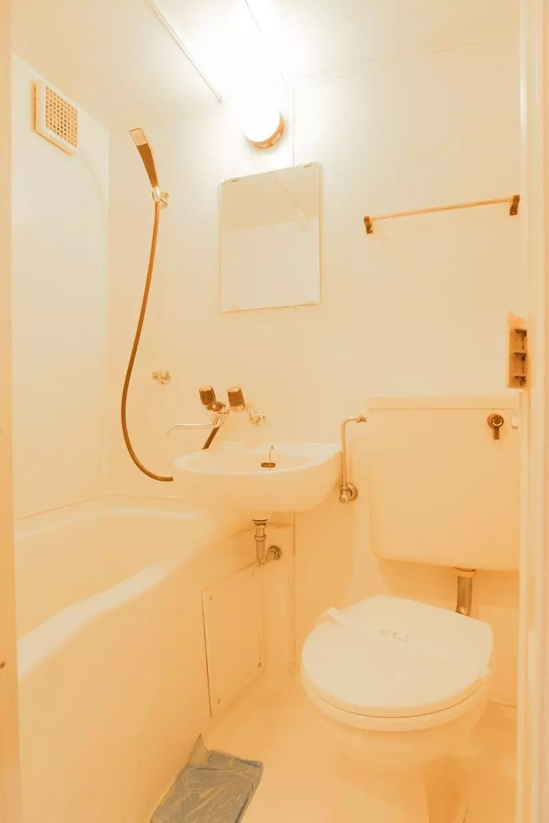 AP1391 ペアパレス徳丸 205のトイレ|トイレです