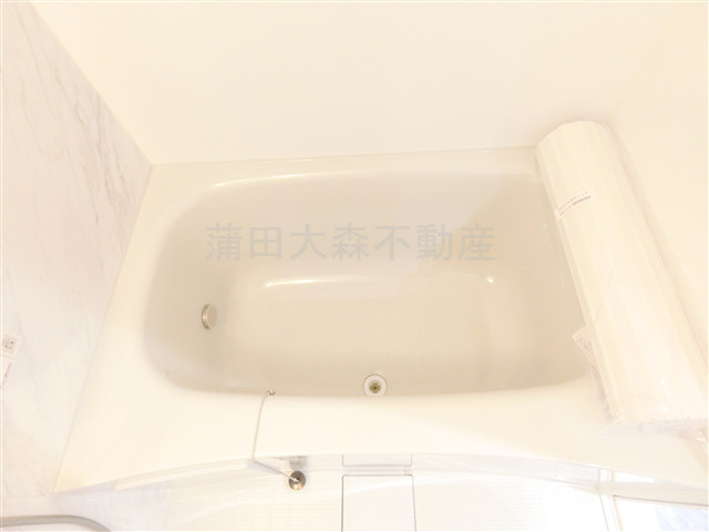 Aoakuaアオアクアの浴室