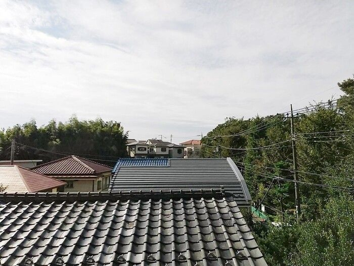 グリーンパークの展望