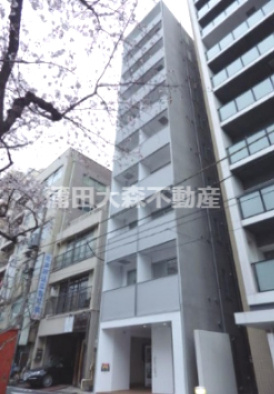 アセット大森の外観|2019年2月築　鉄骨造地上10階建て1K～1LDK総戸数14戸
東京都大田区大森北1丁目　京浜東北線大森駅徒歩5分、京急本線大森海岸駅徒歩12分
