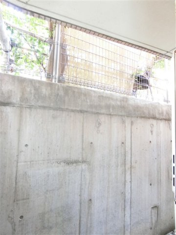 リヴシティ平和島の展望