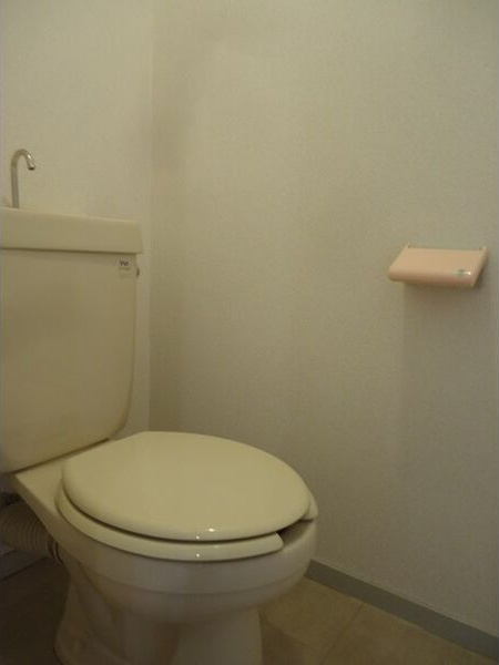 グランドハイツ八勝のトイレ|落ち着いたトイレです
