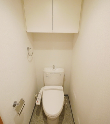スカイコート板橋五番館のトイレ