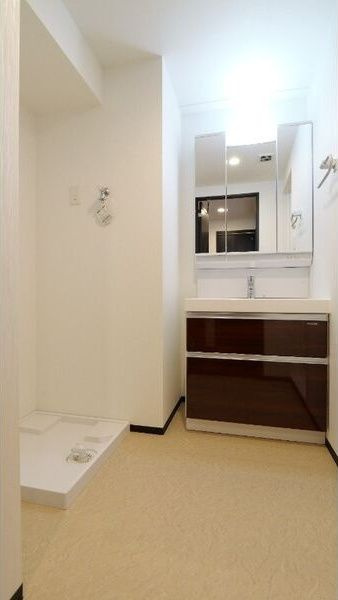 大阪市浪速区恵美須西１丁目の賃貸マンションの洗面所